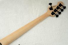 ATELIER Z Beta 5 -Natural- #301162 【フレイムネック個体】_8