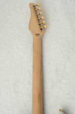 SCHECTER SD-2-24-AS-VTR -Blonde w/Gold Parts- #S2509100 【限定生産モデル】_9