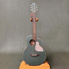 aNueNue Bird MC10 _2