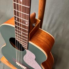 aNueNue Bird MC10 _3