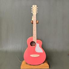 aNueNue Bird MC10 _2