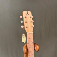 aNueNue Bird MC10 _4