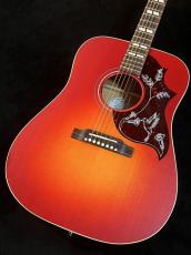Gibson 【NEW】 Hummingbird Special VCS #22135087 [2025年製] 