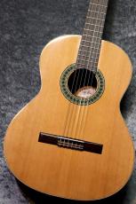 Paco Castillo / パコ・カスティージョ  【小物6点サービス!】201 杉 / サペリ #27176 【現物写真】【スペインブランド】【池袋店在庫品】