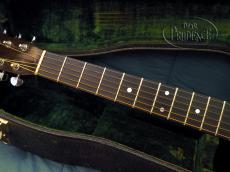 Martin D-28_4