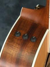 Taylor 314ce-KOA Japan Limited_10