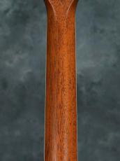 Taylor 314ce-KOA Japan Limited_13