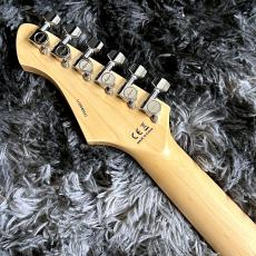 Aria Pro II 714-AE200 LRBL (Lorelei Blue) -Aria Evergreen-【アウトレット特価】【価格を超えた高級感!】_7