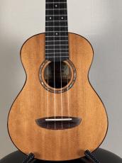 aNueNue Sitka Rosewood Ⅱ【USED】【オール単板】