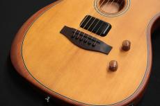 Fender Acoustasonic® Standard Telecaster® Aged Natural_4