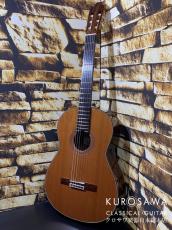 KODAIRA [小平] AST-90C 杉・ローズウッド【日本総本店2F 在庫品】