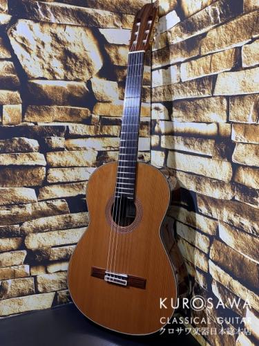 KODAIRA [小平] AST-90C 杉・ローズウッド【日本総本店2F 在庫品】