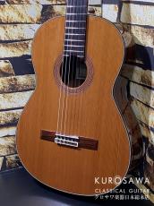 KODAIRA [小平] AST-90C 杉・ローズウッド【日本総本店2F 在庫品】_2