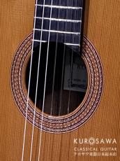 KODAIRA [小平] AST-90C 杉・ローズウッド【日本総本店2F 在庫品】_3