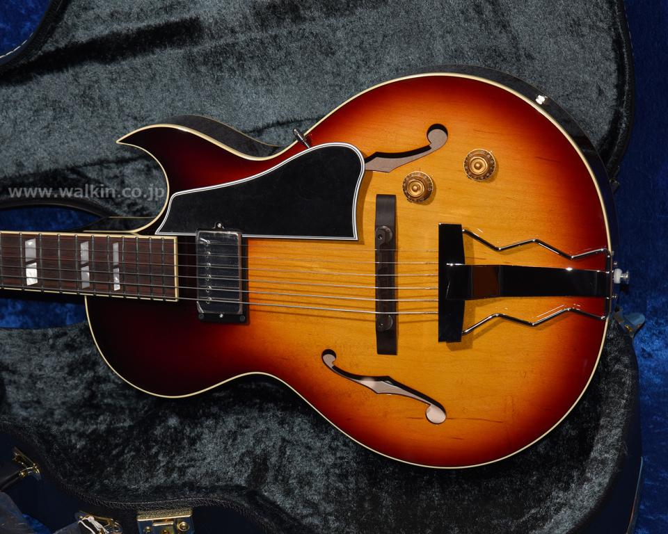 Archtop Tribute AT105 Jr. 2020年代 新品 1031383 Archtop Tribute