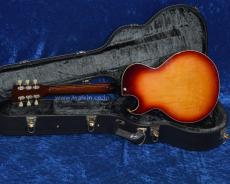 Archtop Tribute AT105 Jr. _4