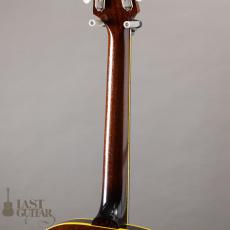 KING SNAKE Muddy Non Cutaway Tobacco Sunburst_7