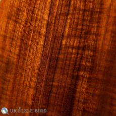 Pono MKC-MS Concert_10