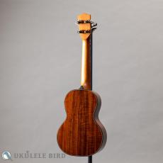 Pono MKC-MS Concert_12