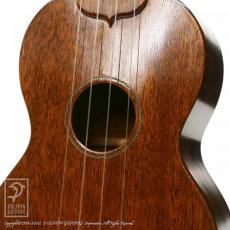 Martin Style-0_7