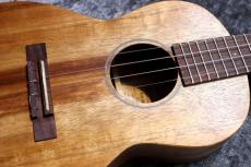 Martin T1K Uke #36625 【テナー】【ハワイアンコア単板】【甘い音色、箱鳴り感抜群】【2024年製】【池袋在庫品】_3