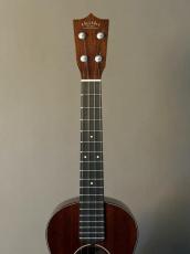 tkitki ukulele HM-T Custom Tenor【S/N1656】_14