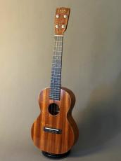 tkitki ukulele ECO-C FijiMahogany Concert【S/N 1668】_2