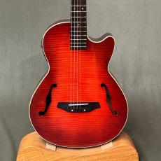 K.Yairi(ケーヤイリ)、エレアコの検索結果1～48件【楽器検索｜Jギター】