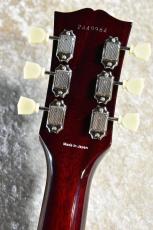 Tokai LS-101F WR #2449984【傷有り特価、軽量4.33kg!】_7