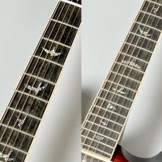 Paul Reed Smith [PRS] SE Hollowbody II Piezo -Orange Tiger Smokeburst- #CTCI01464【2.88kg】_4