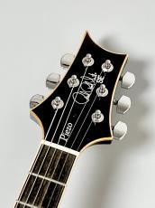 Paul Reed Smith [PRS] SE Hollowbody II Piezo -Orange Tiger Smokeburst- #CTCI01464【2.88kg】_5