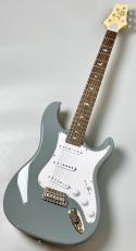 Paul Reed Smith [PRS] SE Silver Sky Rosewood - 8J -Storm Gray- #CTI G114026【3.20kg】_3