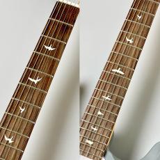 Paul Reed Smith [PRS] SE Silver Sky Rosewood - 8J -Storm Gray- #CTI G114026【3.20kg】_4