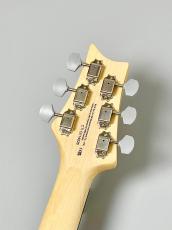 Paul Reed Smith [PRS] SE Silver Sky Rosewood - 8J -Storm Gray- #CTI G114026【3.20kg】_6