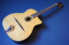 Stringphonic Advanced Oval 10th. Anniversary