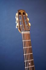 Stringphonic Advanced Oval 10th. Anniversary_5