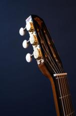 Stringphonic Advanced Oval 10th. Anniversary_7