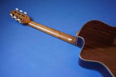 Stringphonic Advanced Oval 10th. Anniversary_10