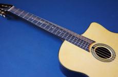 Stringphonic Advanced Oval 10th. Anniversary_11