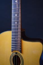 Stringphonic Advanced Oval 10th. Anniversary_12