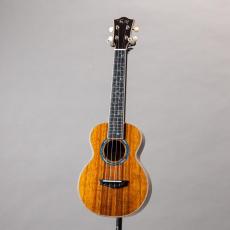 truth テレキャスタータイプ TTL-201 オーダー仕様 トゥルース 美品 Truth 商品一覧 | 三木楽器公式通販サイト