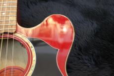 Gibson EC-10 Standard_5