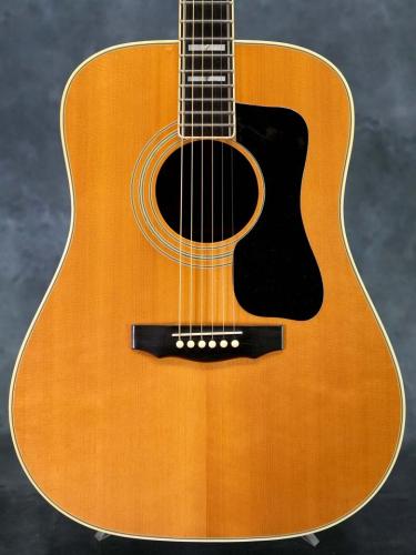 Guild 1979 D-55 Natural