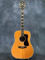 Guild 1979 D-55 Natural_2