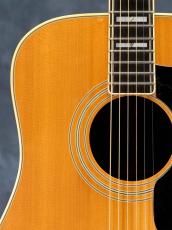 Guild 1979 D-55 Natural_6