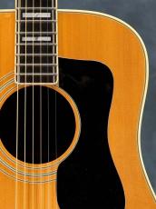 Guild 1979 D-55 Natural_7