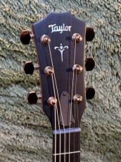 Taylor 【Taylor 選定品】-New Model- 724ce Gloss V-Class -Hawaiian Koa- #1208194059【48回迄金利0%対象】_4