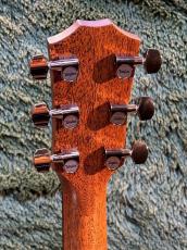 Taylor 【Taylor 選定品】-New Model- 724ce Gloss V-Class -Hawaiian Koa- #1208194059【48回迄金利0%対象】_5