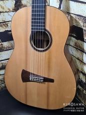 Mario Garrone Malvolti マリオ・ガローネ・マルヴォルティ 1995年製 no 16E 松・中南米ローズウッド 【日本総本店2F 在庫品】