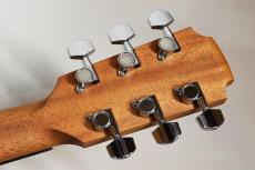 Sheeran BY Lowden S-02_12